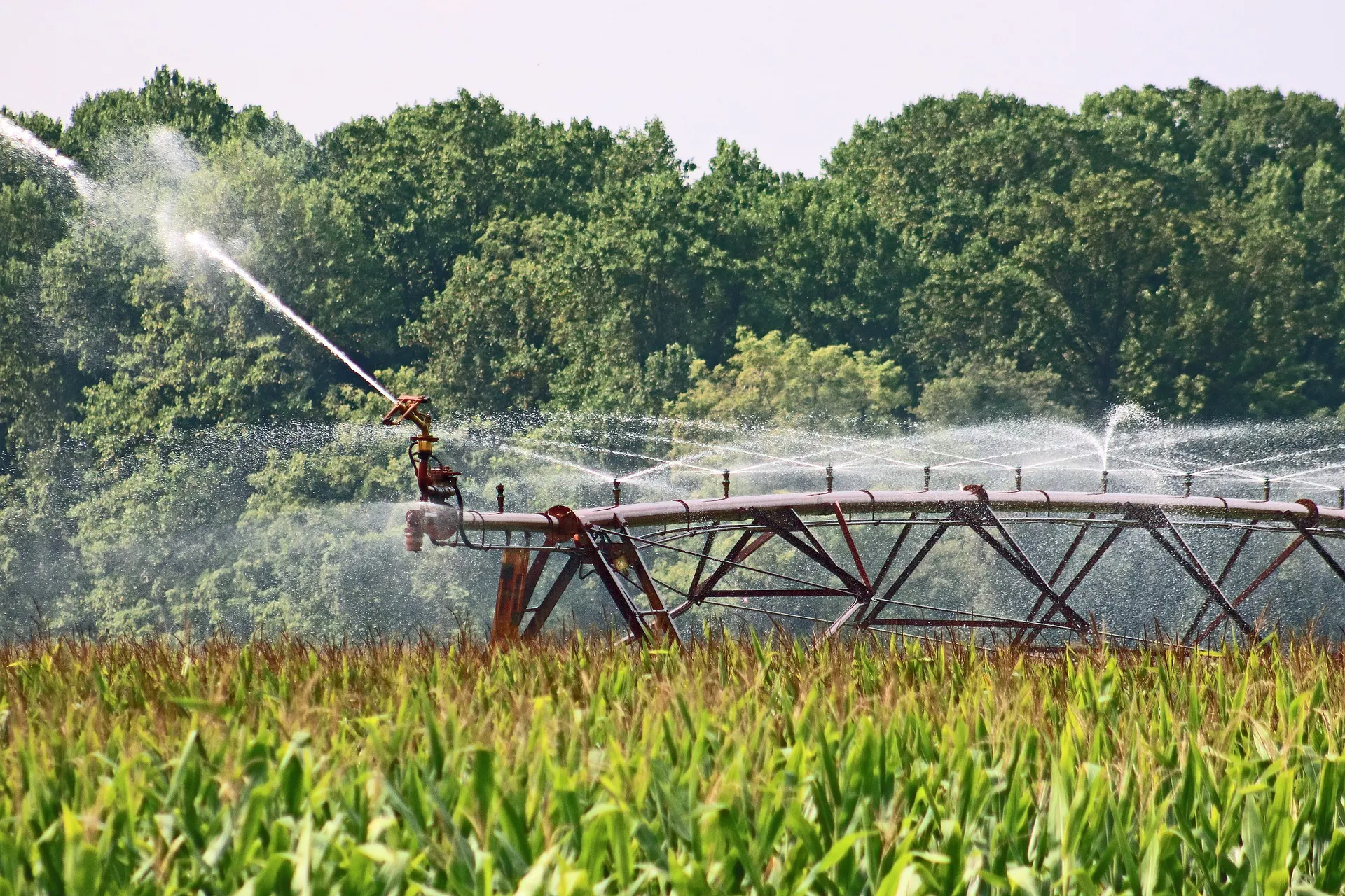 Industria agrícola - Dessol